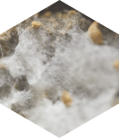 Biofabricage hexagon